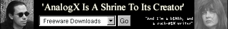 AnalogX Shrine Banner